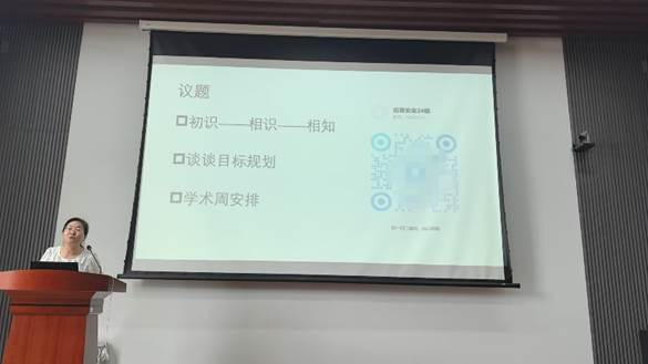 H动漫
