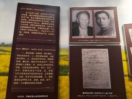 H动漫