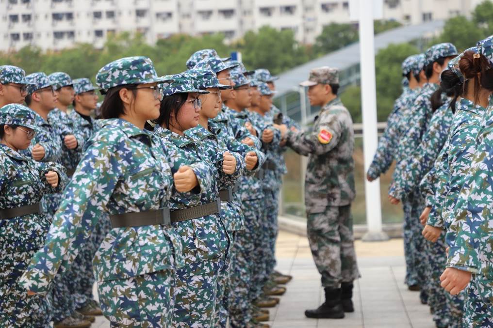 H动漫