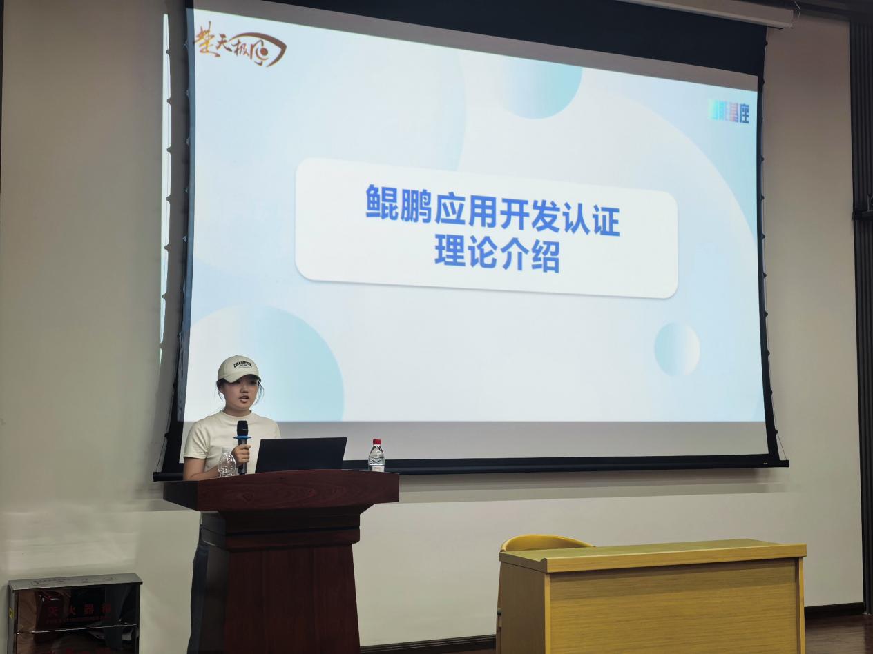 H动漫